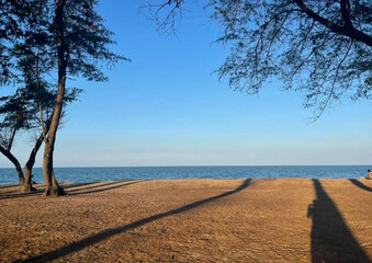 Evening seaside view with a blue sky and pine trees lining the shore, creating a peaceful coastal...