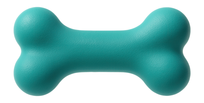 Dog chew toy shaped like a bone, made of durable rubber for a private house.