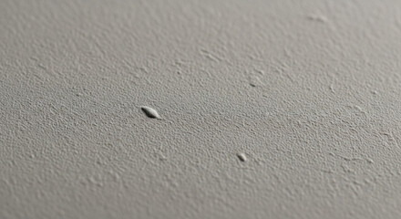 Macro Photo of Muted Gray Fine-Grained Matte Texture in 8K.