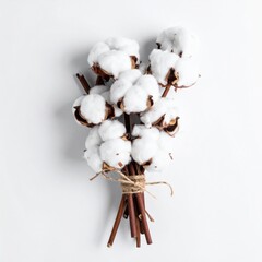 Cotton Flower Bouquet on White Background with Natural Light and Minimalist Composition