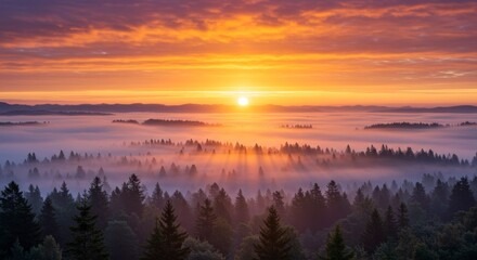 Fototapeta premium A breathtaking sunset paints the sky with warm hues, casting golden rays over a misty forest