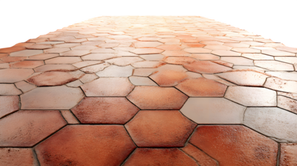 Sunlit Hexagonal Terracotta Tile Floor With Soft Wear Marks isolated on transparent white background --ar 16:9 --raw