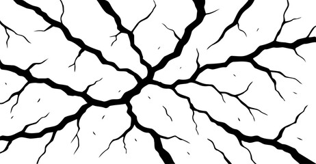 Monochrome background displays a network of bold black line patterns radiating from a central point, creating a captivating visual effect with a dynamic, branch-like structure