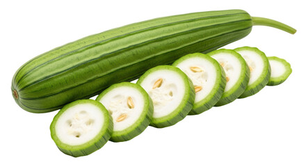 Isolated Angled Loofah