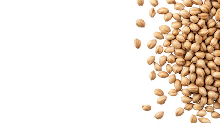 Close-up of aromatic, golden sesame seeds on a black background, perfect for culinary uses and healthy recipes.