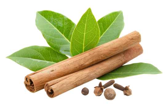 Cinnamon sticks and green leaves on a white background, showcasing natural spices for culinary use.