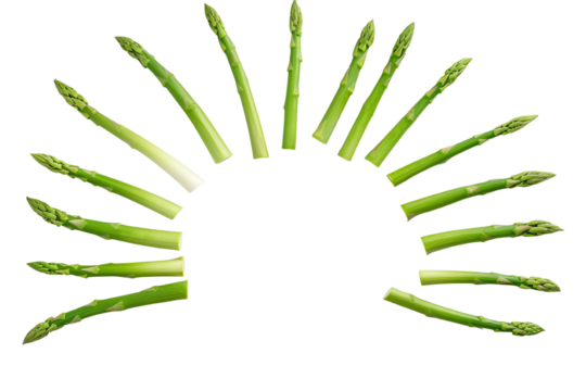 Fresh green asparagus arranged in a sunburst pattern, ideal for culinary themes and healthy eating concepts.