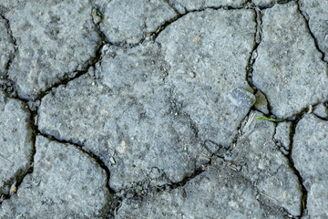 Obraz premium Dry cracked soil texture background