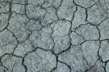 A close-up view of dry, cracked soil with an irregular, natural pattern formed by dehydration. 