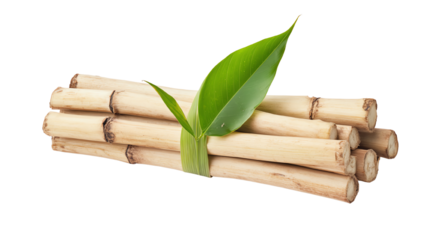 Fresh sugarcane sticks with vibrant green leaves against a white isolated background.