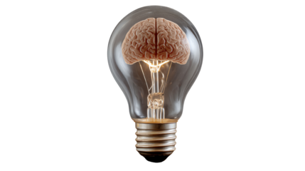 Light bulb with brain illustration, symbolizing creativity and innovation, isolated on white background.