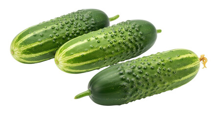 Isolated Group of Pickled Cucumbers
