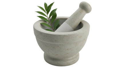Isolated Mortar and Pestle with Plant