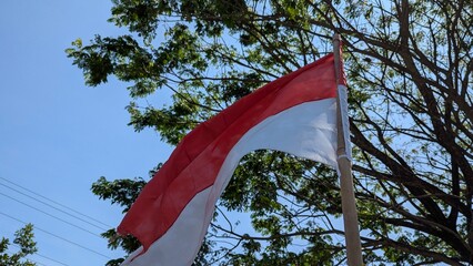 The Indonesian flag (Merah Putih) proudly flutters on a pole against a brilliant blue sky, framed by green tree branches, symbolizing national spirit ahead of Independence Day.