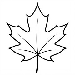maple leaf coloring 