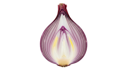 Isolated Red Onion