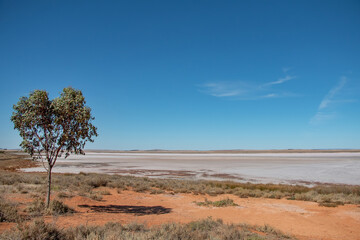 Pink salt crust and dry textured surface of Lake Bumbunga under blue sky, South Australia