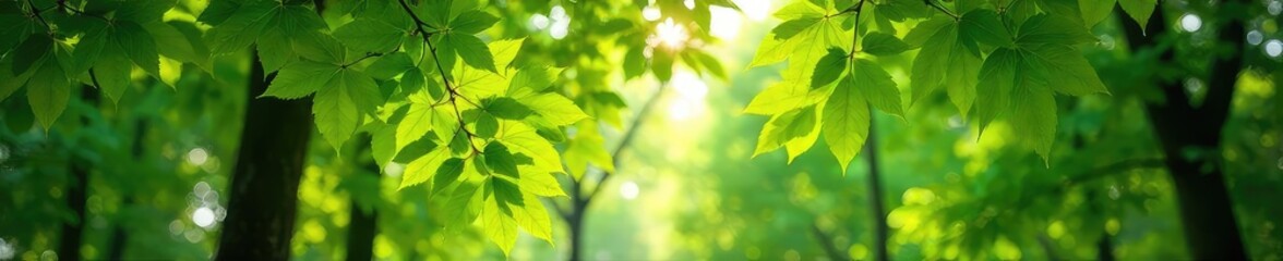 Lush green leaves in a vibrant city park, sunlight dappling through the canopy, creating a serene and peaceful atmosphere Ideal for nature, tranquility, and environmental themes , landscape, grass