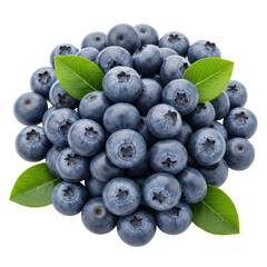 Fototapeta premium Fresh, plump indigo-blue blueberries with whitish bloom and green leaves in a natural mound, isolated on a pristine transparent seamless studio background with bright diffused studio light, concept of