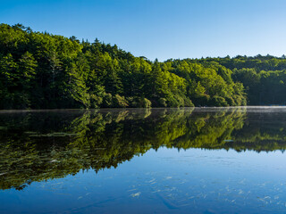 白駒池の朝もや