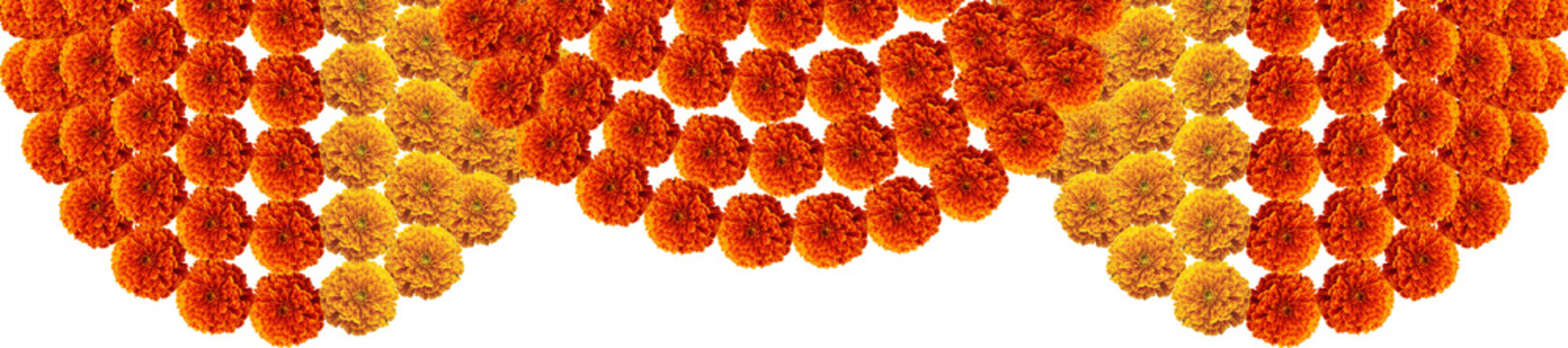 Red and orange marigold flower decorative entrance gate festive element