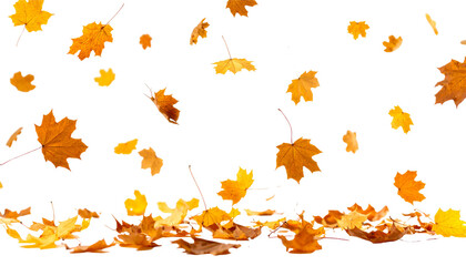 Obraz premium ดีไซน์ที่ยังไม่ได้ตั้งชื่อ - 32