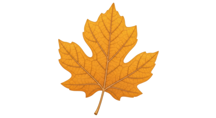 Isolated Yellow Leaf