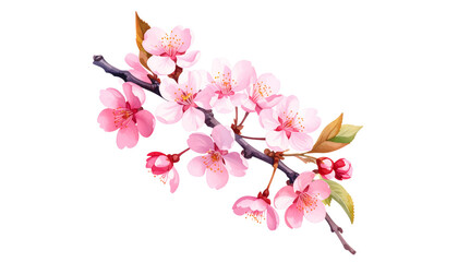 Obraz premium A bright pink bouquet, including roses and tulips, is elegantly placed on a white background