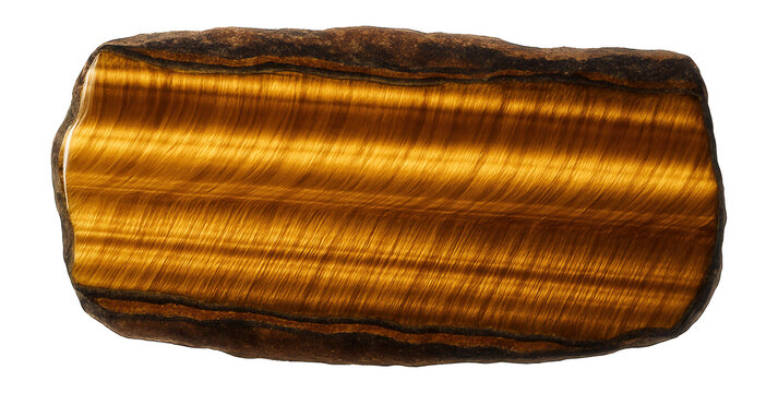 Polished section of tiger's eye with golden-brown chatoyancy and fibrous structure