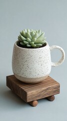 White Speckled Ceramic Mug with Small Succulent on Wooden Stand. High quality