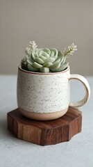 White Speckled Ceramic Mug with Small Succulent on Wooden Stand. High quality