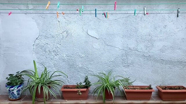 Pared blanca y repisa con plantas en macetas, cuerdas para tender ropa. Mockup con decoraci&oacute;n t&iacute;pica del sur de Espa&ntilde;a, Andaluc&iacute;a.
