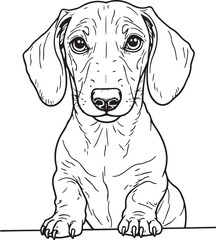 Fototapeta premium Dachshund Dog SVG EPS Line Art Peeking Dog Clipart, Vector Graphics, Sublimation, Digital Download Mug Printing Tshirts Design Mascot Tattoo Transparent Background