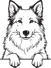 Collie Dog SVG EPS Line Art Peeking Dog Clipart, Vector Graphics, Sublimation, Digital Download Mug Printing Tshirts Design Mascot Tattoo Transparent Background
