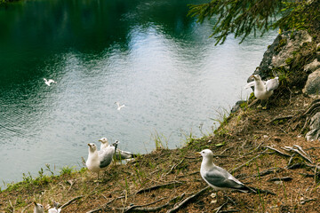 Landscape of the mountain park Ruskeala in the Republic of Karelia