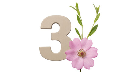 Isolated Number 3 with flower