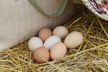 Farm eggs are beautifully arranged for a photo in our garden on straw.