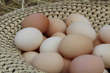 Homemade farm eggs in a beautiful large wicker hat