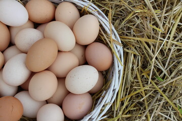 Today the hens laid a lot of fresh eggs and we put them in a wicker basket