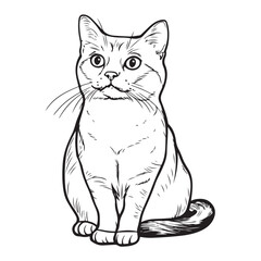 cute black cat cartoon line art and silhouette vector illustration