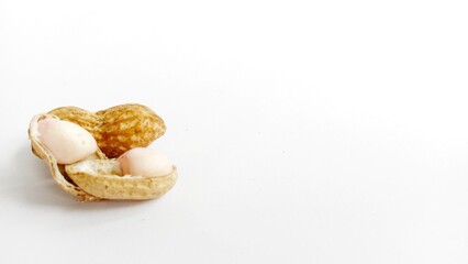 fine texture 2 peeled peanuts, including the skin