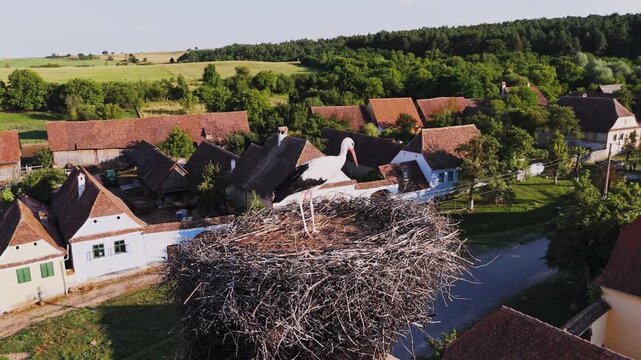 Aerial view of a stork nest in Viscri village, Romania. Viscri Village, famous travel destination in Romania. Authentic village with old houses. Single stork in the nest at sunset. Beautiful landscape