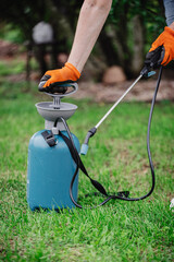 Preparing a solution to protect plants from insects and diseases and spraying it with a hand pump