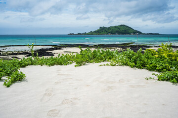 Fototapeta premium Healing Travel Destination with Sandy Beach and Lava Rocks on Jeju Island, South Korea