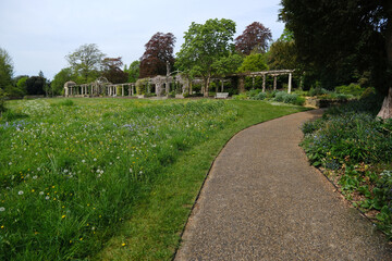 Path to the Pergola