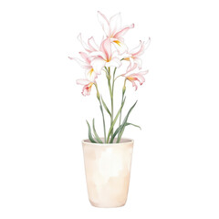 Fototapeta premium Pink Lilies in Pot with Watercolor Flower, and Home Decor.
