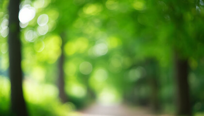 Obraz premium Blurred natural green background - bokeh glare.