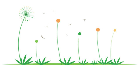 Green grass with dandelion seeds and flying birds image
