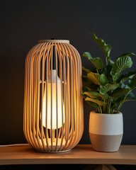 Elegant Wooden Lamp and Indoor Plant on Minimalist Table Against Dark Wall