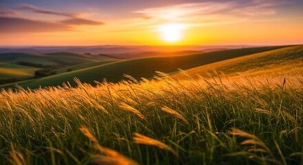 Golden sunset over rolling hills and tall grass in a serene landscape